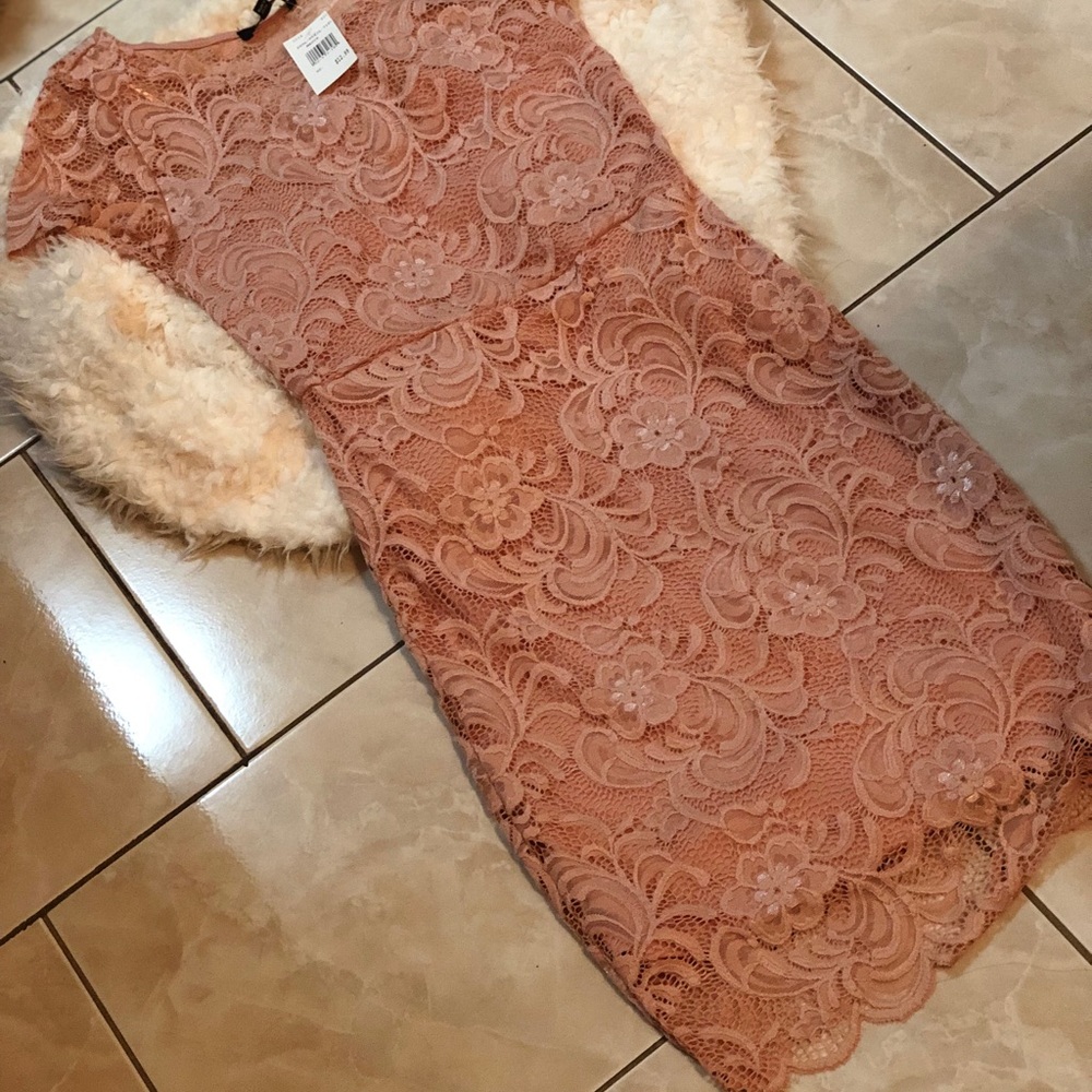 Blush Laced/Crochet Midi Dress - Picture 11 of 12